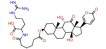 3-(N-Adipoyl argininyl)-arenobufagin